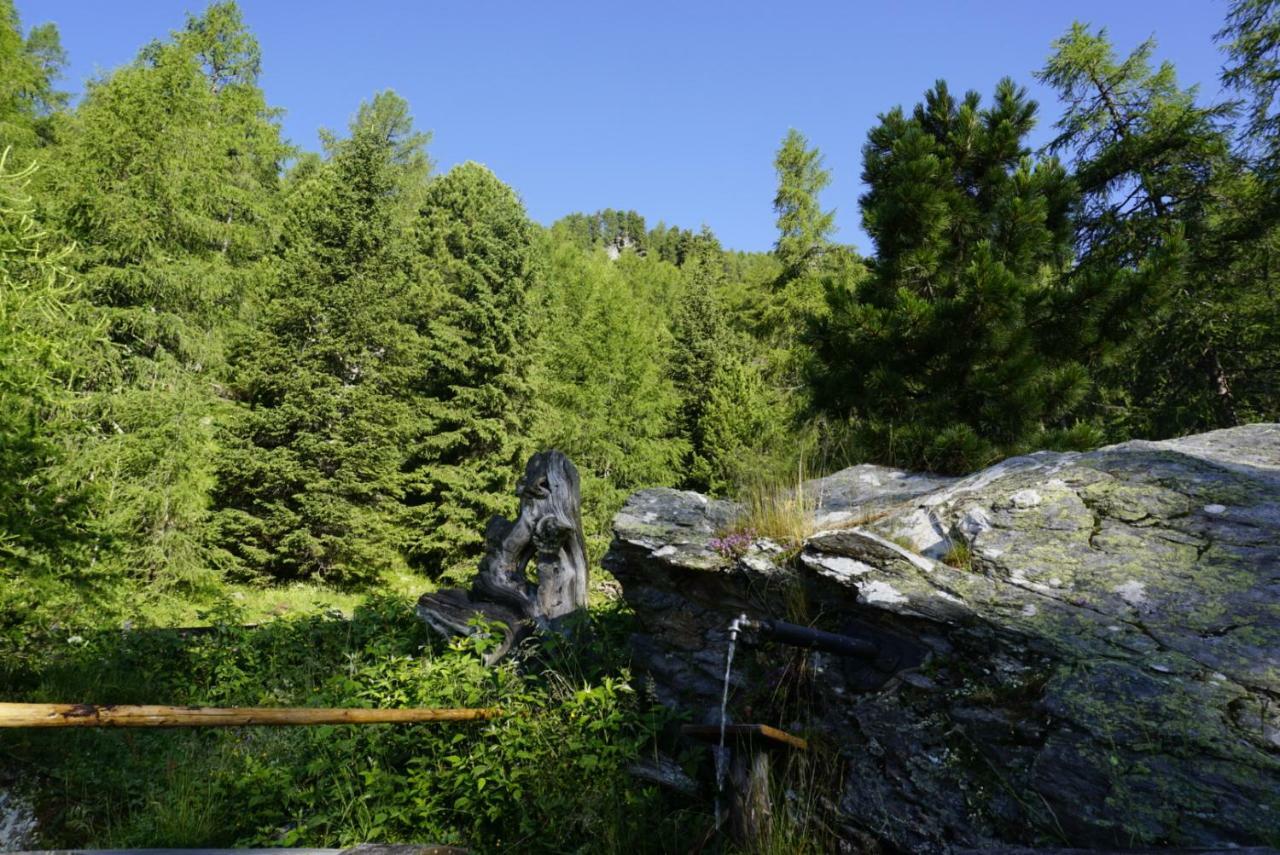 Bergheim Schmidt, Almhuetten Im Wald Appartments An Der Piste Alpine Huts In Forrest Appartments Near Slope Turracher Hohe Εξωτερικό φωτογραφία